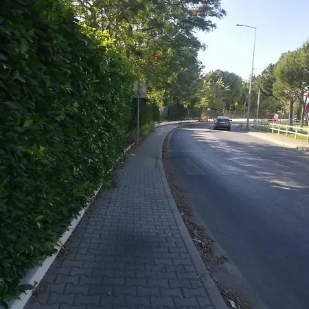 Bel 60m2, A 500m De La Falesia Olhos de Agua (Albufeira)